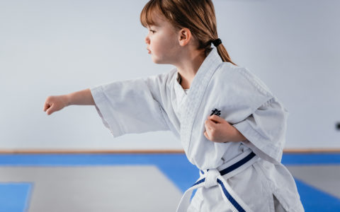 Kyokushinkai Karate Rheinland