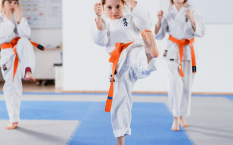 Kyokushinkai Karate Rheinland